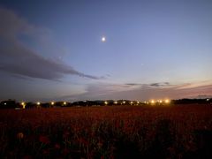 -山明水秀大饭店