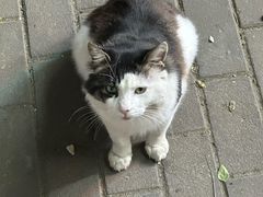 -东镇老火锅(胶州宝龙店)