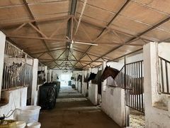 -月河湾马术俱乐部(朝阳店)