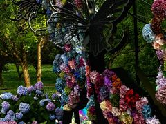 -上海共青森林公园