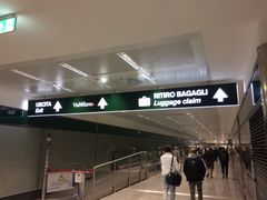 -米兰马尔彭萨国际机场