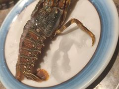 -亚马逊蒸汽活海鲜自助(LCM置汇旭辉广场店)
