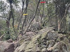 -午潮山国家森林公园