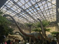 -国家自然博物馆