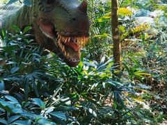 -海南热带野生动植物园