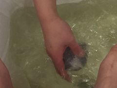 -唐宫足道·SPA·影院会馆(木渎店)