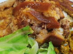 -瑞霖·隆江猪脚饭