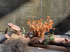 -泓0871臻选云南菜·味庄