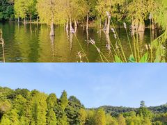 -广州市白云山风景名胜区