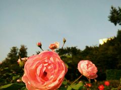 -人民公园(罗湖区)