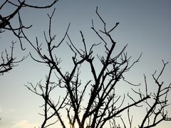 -南国桃园旅游度假区