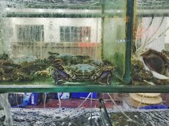-四海鲜渔家菜(黄金海岸店)