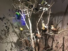 景点-常州博物馆