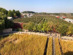 -河北村民俗体验园