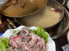 -鸽鸟轩(石岐店)