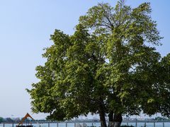 -云里小坐·海泉湾·团建·宴席·下午茶(金堂海泉湾店)