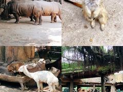 -长鹿旅游休博园