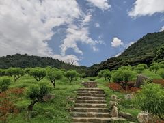 -广州市石门国家森林公园