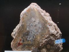 -正佳自然科学博物馆