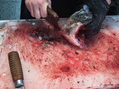 -酥鱼坊(延长西路总店)