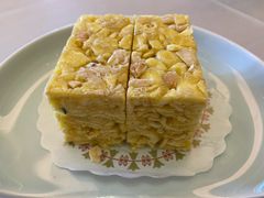 沙琪玛-悦湖公馆