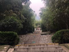 -少华山国家森林公园