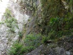 -雁荡山三折瀑景区