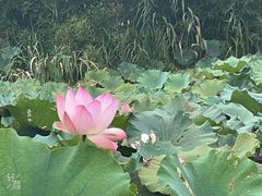 -春暖花开(西溪店)