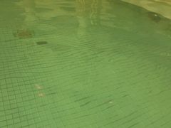 -宝丽金大酒店·洗浴中心