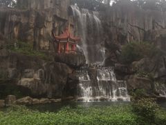 -金鸡山公园