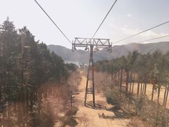 -桃源台景观餐厅