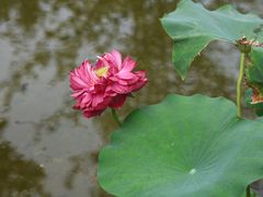 -朝阳公园