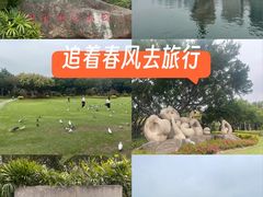 -白鹭洲公园