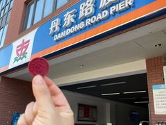 -丹东路渡口(轮渡站)