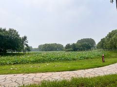 -东郊湿地公园