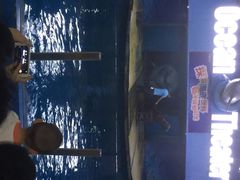 苏州海洋馆-苏州海洋馆