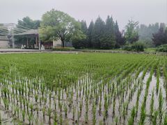 -北坞公园