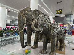 -英迪拉·甘地国际机场