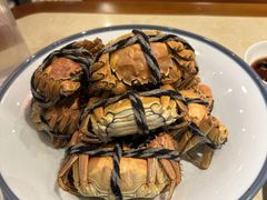 -杨氏青龙虾·羊蝎子(珠江路店)