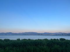 -洱海月湿地公园