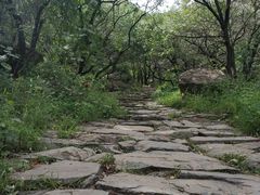 -阳台山自然风景区