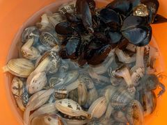 -渡海小渔村.老辈日照菜