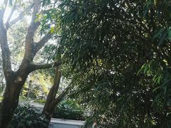 -广州市白云山风景名胜区