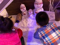 -挂雪铁锅炖大鹅