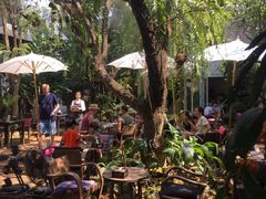 -Fern Forest Cafe