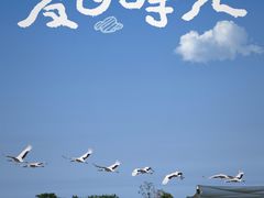 -盐城丹顶鹤湿地生态旅游区