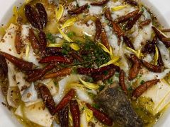 -新太二·鲜料川菜(群光广场店)