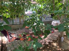 -水库活鱼馆(于桥水库店)