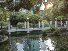 -九龙公园