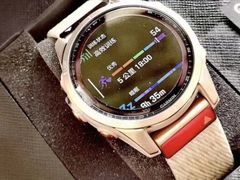 -GARMIN佳明手表(和平大悦城店)